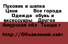 Пуховик и шапка  Adidas  › Цена ­ 100 - Все города Одежда, обувь и аксессуары » Другое   . Амурская обл.,Тында г.